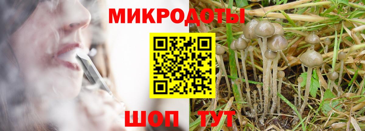 Салехард  Псилоцибиновые грибы Magic Shrooms  Вход с VPN  Псилоцибиновые грибы MAGIC MUSHROOMS 